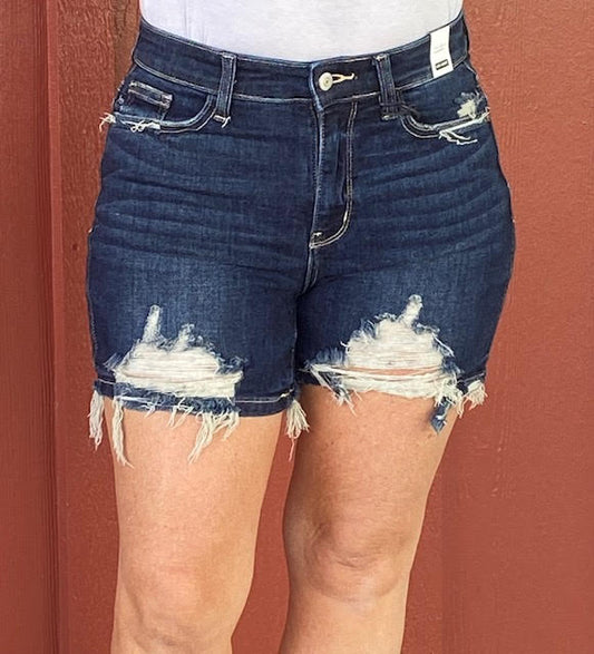 High Waist Destroyed Shorts  - Judy Blue - Sweetwater Boutique